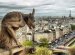 Paris Pictures